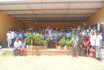 Tree Plantation Drive on World Environment Day