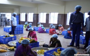 Joy-of-Giving-Dal-to-Akshaya-Patra-Gallery